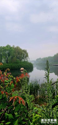 【春深夏浅】+公园晨景