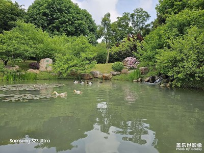 【春深夏浅】+遛娃赏景