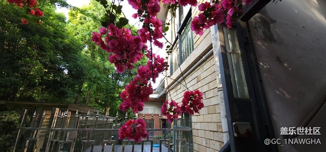 花花