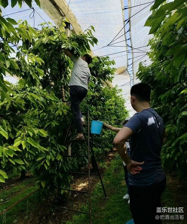 【记录每一帧】采摘