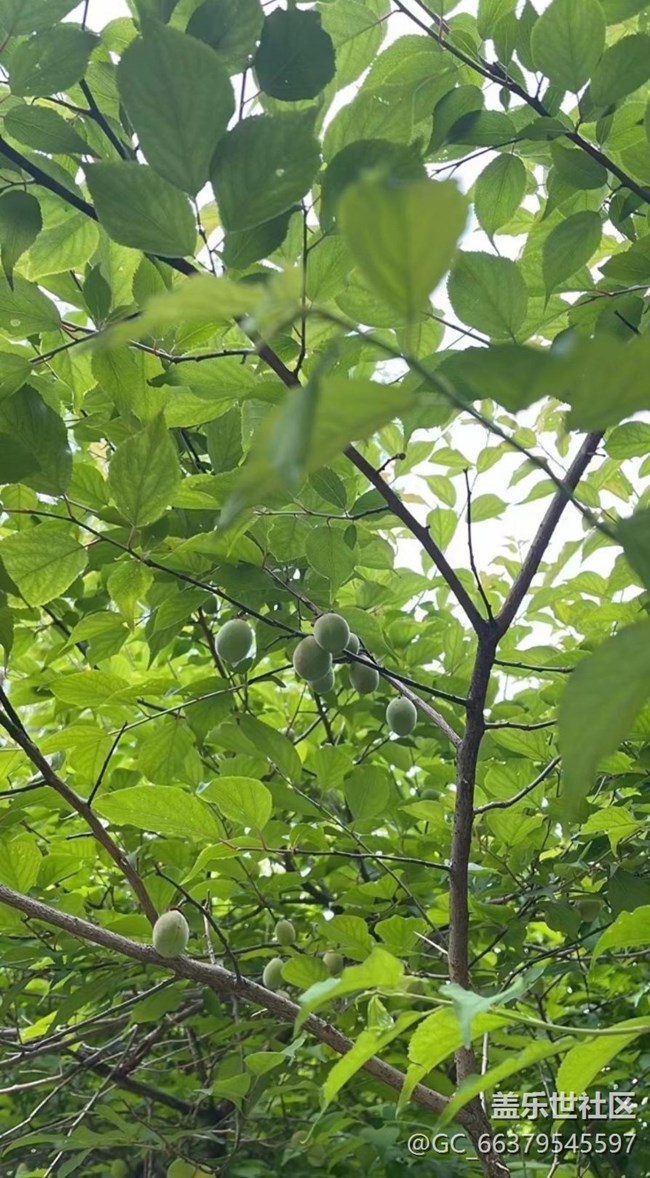 【去有风的地方】小区