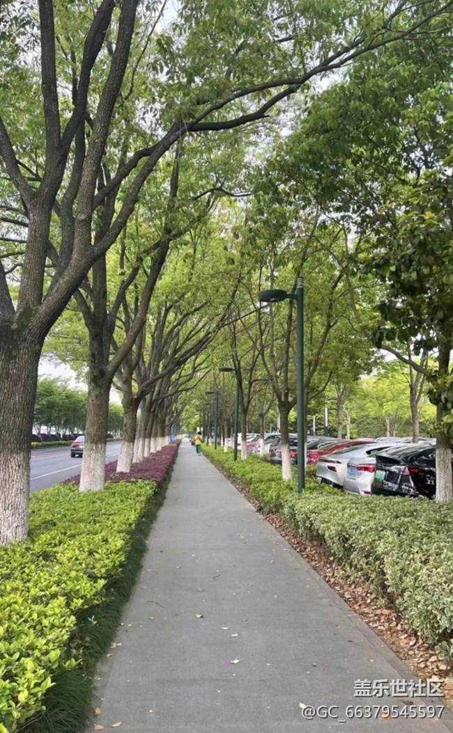 【去有风的地方】小区