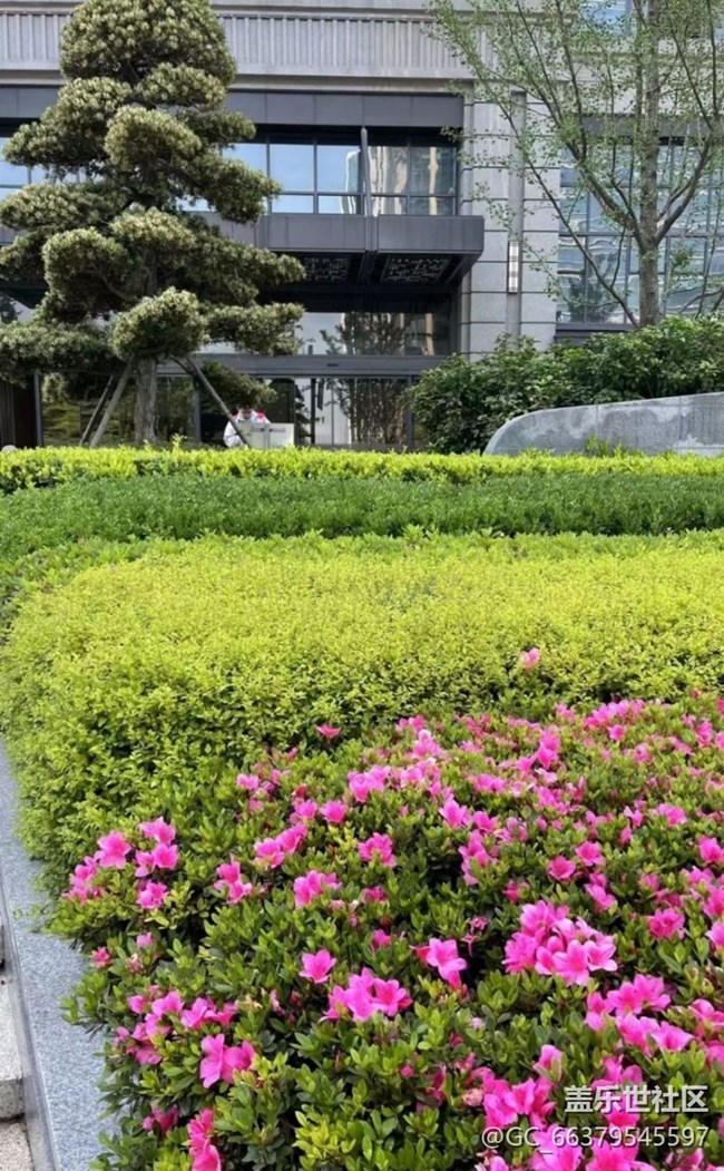 【去有风的地方】小区