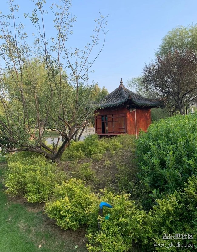 【我的旅行日记】铁塔公园