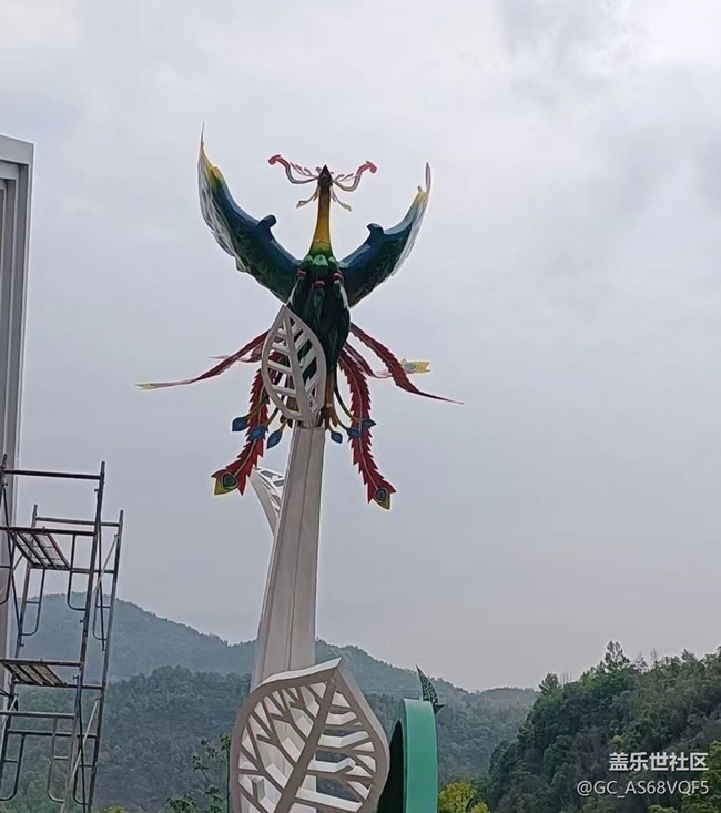 【去有风的地方】凤凰展翅