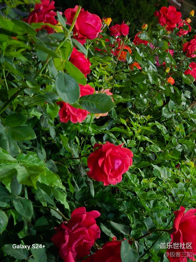 三星s24+夜景拍摄