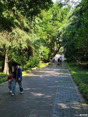 【春深夏浅】+假期出行