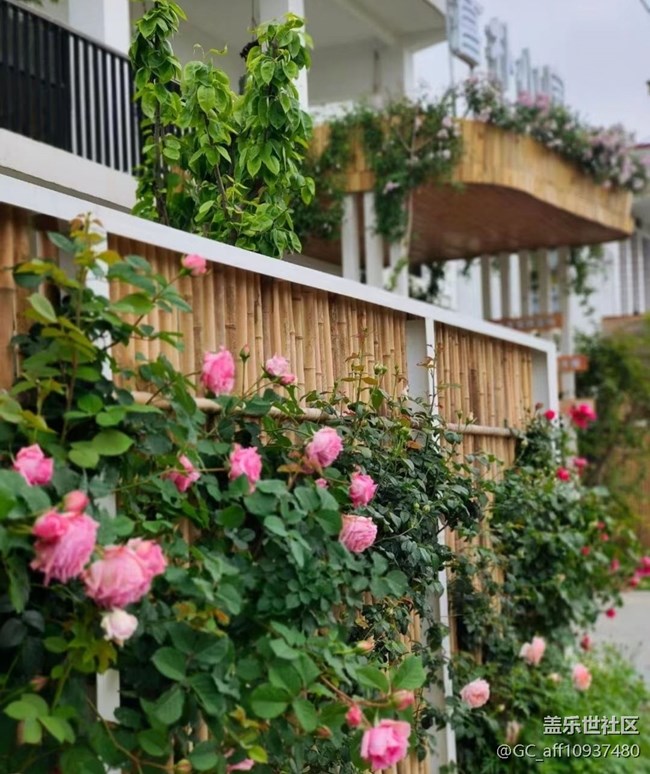 【记录每一帧】路过拍