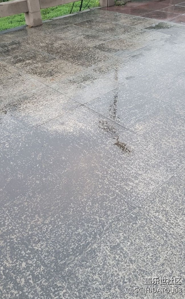 【捕捉初夏之美】下雨了