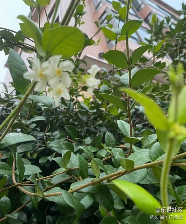 【说走就走的旅行】对对对