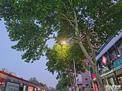【三星手机的夜景】华灯初上
