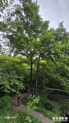 【春深夏浅】一年中最热烈的季节