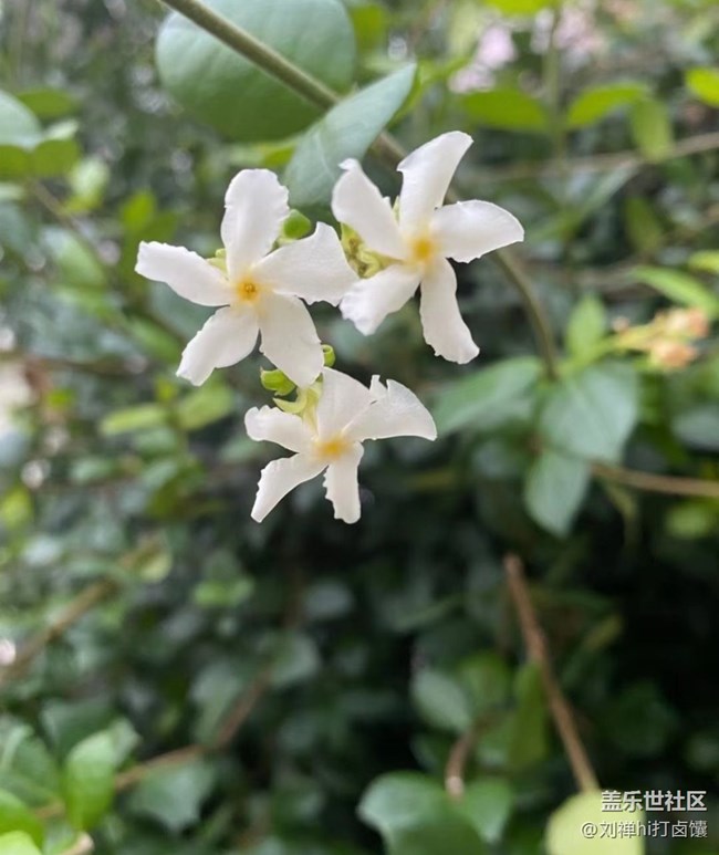 【说走就走的旅行】对对对