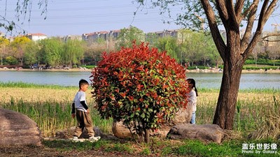 【春深夏浅】初夏的日常