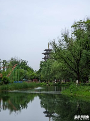 【春深夏浅】洋湖湿地公园