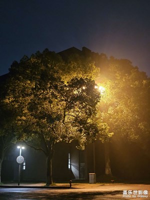 【三星手机的夜景】＋雨后的夜