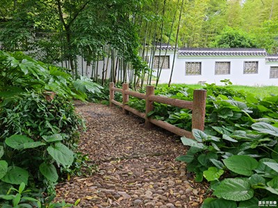 【春深夏浅】迎接夏天