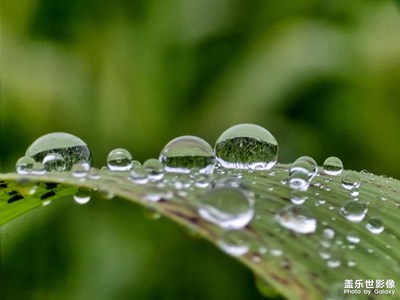 【春深夏浅】细雨绵绵
