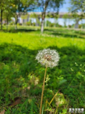 【春深夏浅】+快乐出行