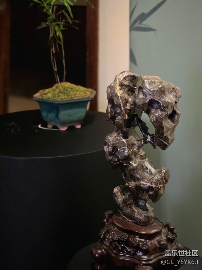 【吴昌硕纪念馆摄影活动】+静物