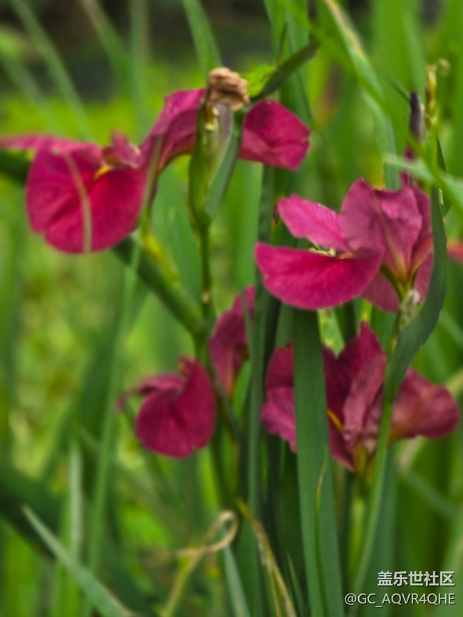 #五月的休闲时光——