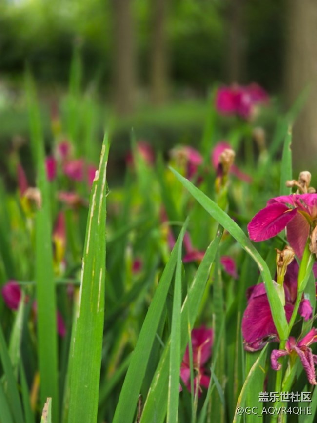 #五月的休闲时光——