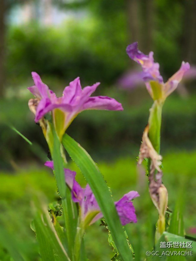 #五月的休闲时光——