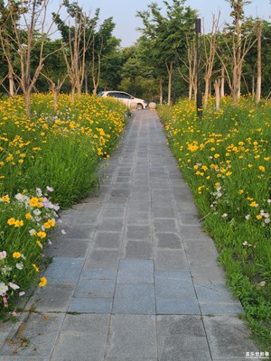 【春深夏浅】傍晚