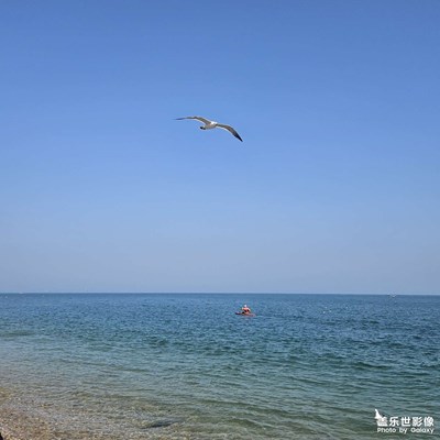大海