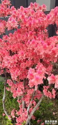 【春深夏浅】+记录生活