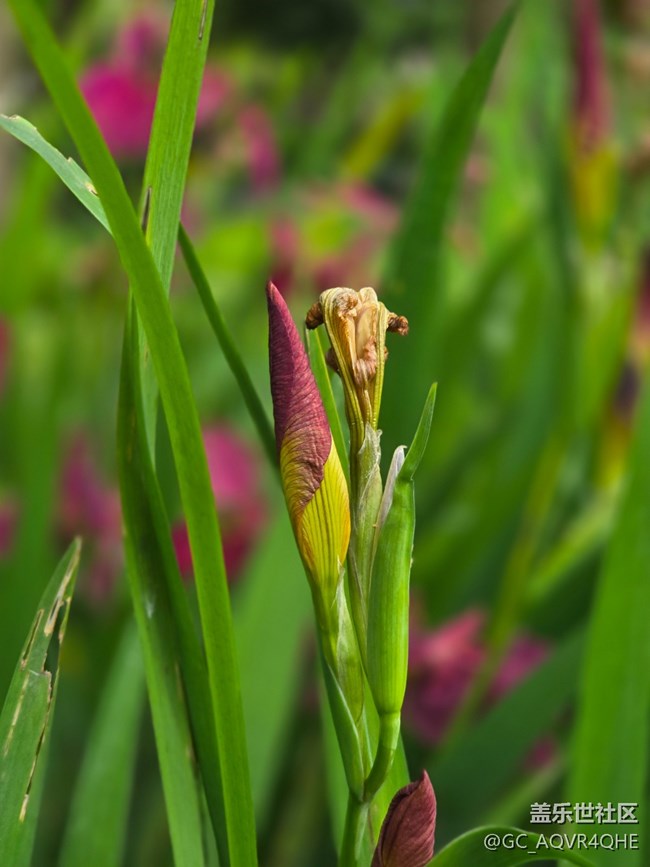 #五月的休闲时光——