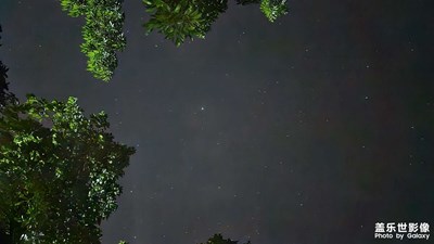 【春深夏浅】+空气清新