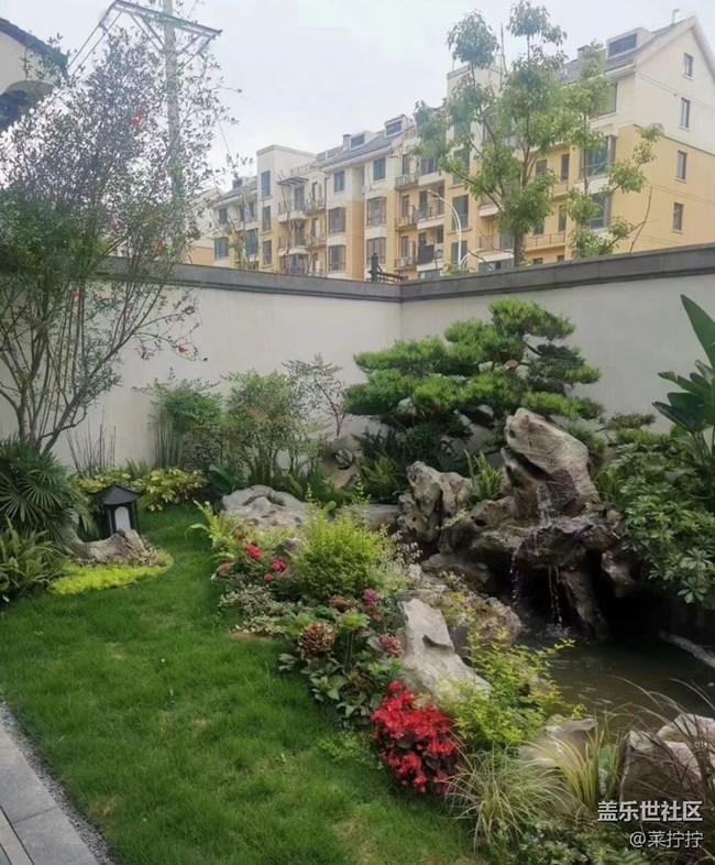 【初夏的颜色】墙角美景