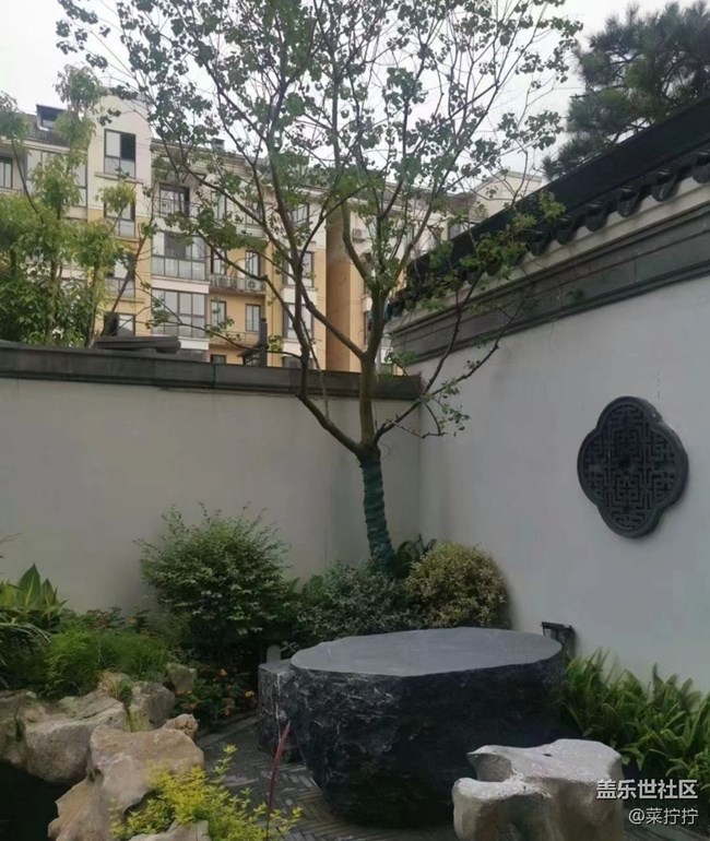 【初夏的颜色】墙角美景