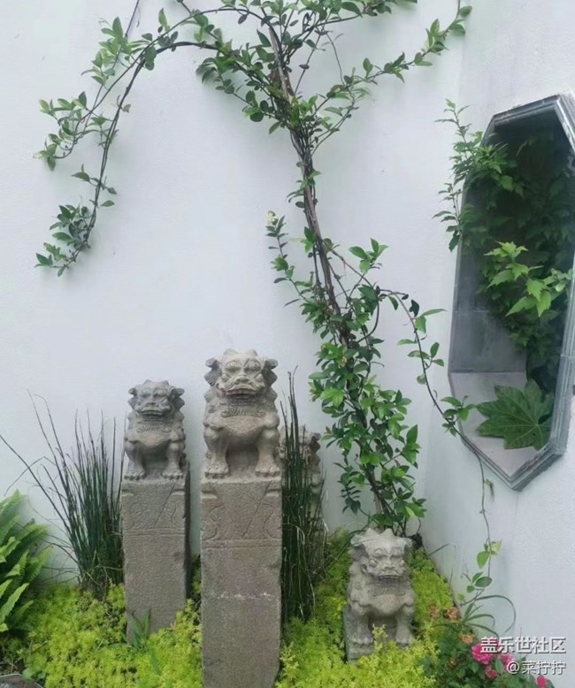 【初夏的颜色】墙角美景