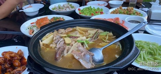 【捕捉初夏之美】快乐一天