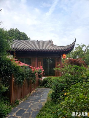 【悠闲时光】+ 公园美景