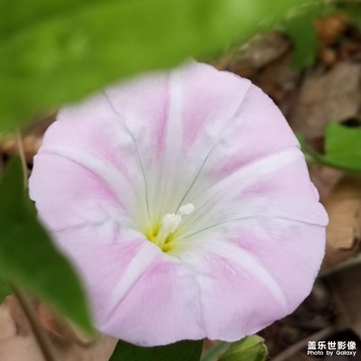 1:1的魅力