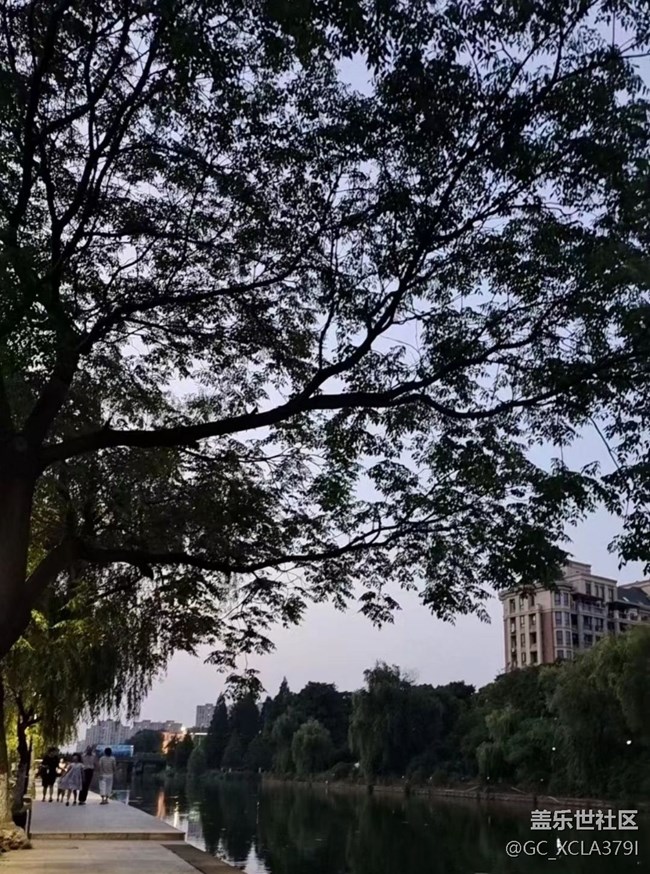 【初夏的颜色】散步