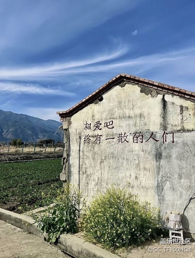 舔狗这门课我一直满分