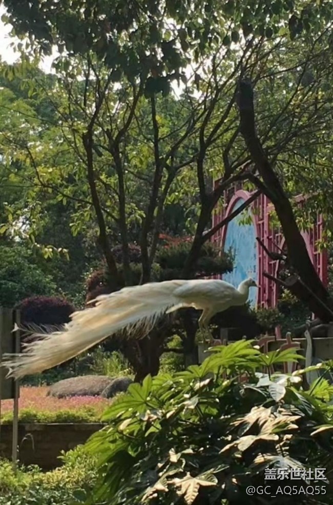 【捕捉初夏之美】动物园