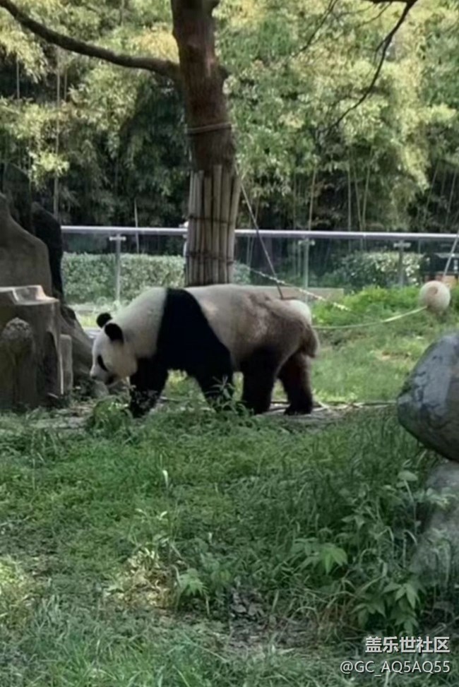 【捕捉初夏之美】动物园