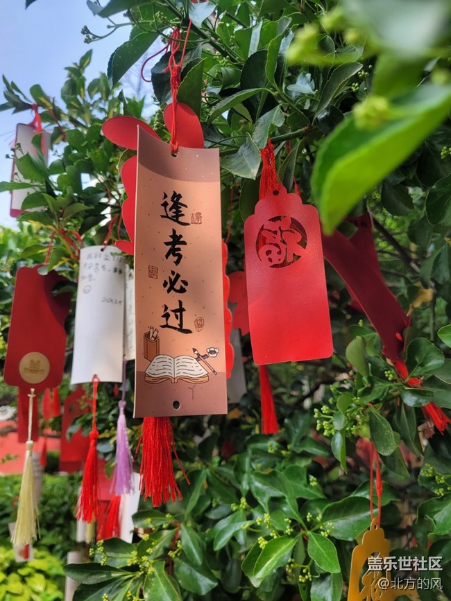 【西什库教堂随拍】+信仰是内心秩序的重建