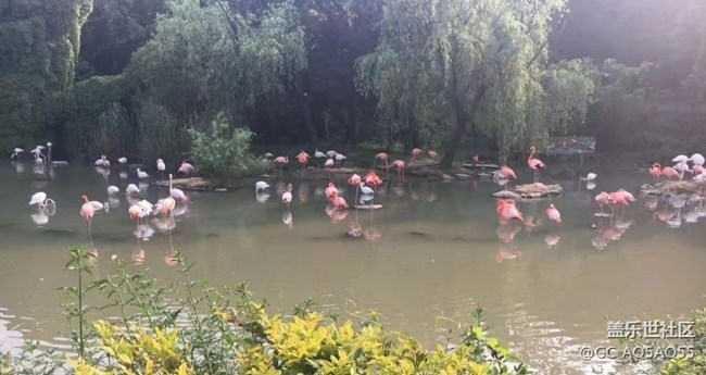 【捕捉初夏之美】动物园