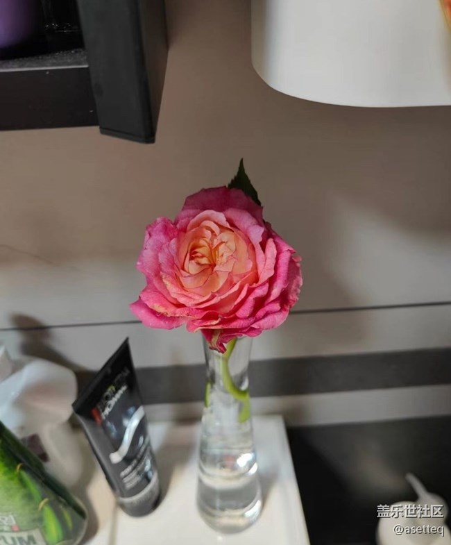 【初夏的颜色】花花