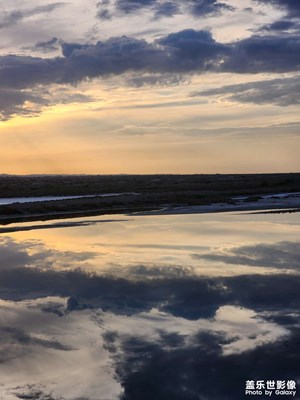 【悠闲时光】湿地掠影