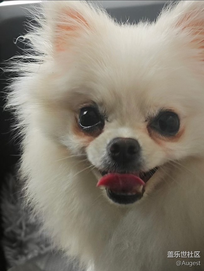 【瞬彩五月】南阳