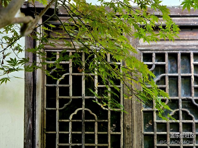 【南翔檀园线下摄影活动】+古建