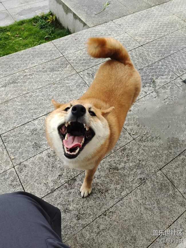 【瞬彩五月】五月遇到的一些有趣的事情