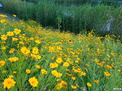 【悠闲时光】赏花